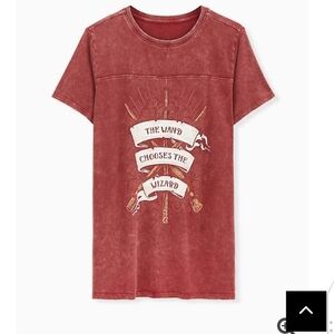 🆕HARRY POTTER ' THE WAND CHOOSES THE WIZARD' TEE